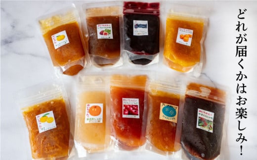 ジャム 3種類 ドライフルーツ 1種類 セット めいちゃんの小さな玉手箱 田條園 いちご ブルーベリー 新高梨 温州みかん はっさく ぽんかん やまもも いちじく りんご  レモン 土佐文旦 高知県 須崎市