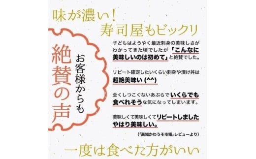 鬮倡エ壹き繝ウ繝代メ ス「鬆亥エ主鋸蜈ォス」 1遽 邏0.3ス0.4kg 蜀キ阡オ 逾樒オ檎キ繧 蛻コ霄ォ 縺雁絢縺苓コォ 鬮倡エ夐ュ 魄ョ鬲 豬キ魄ョ 鬲壻サ 縺九s縺ア縺。