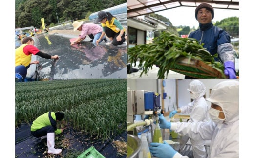 ãªãŒã¬ããã¯ é» ãã³ãã¯ ã® ç® ç²æ« æ»é€åŒ·å£® ããªãã§ããŒã« çºããäºé² ææ©éè ææ©æ œå¹ å¥åº·é£å ææ©JASèªèšŒå EA098