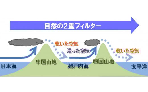 ãªãŒã¬ããã¯ é» ãã³ãã¯ ã® ç® ç²æ« æ»é€åŒ·å£® ããªãã§ããŒã« çºããäºé² ææ©éè ææ©æ œå¹ å¥åº·é£å ææ©JASèªèšŒå EA098