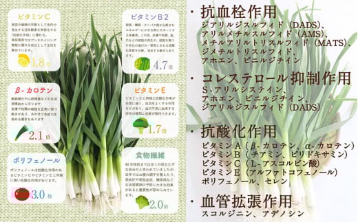 葉 ニンニク ソース ドレッシング 4種 食べ比べ 詰合せ セット 調味料 有機栽培 健康食品 高知県産 国内無農薬有機JAS栽培 須崎市