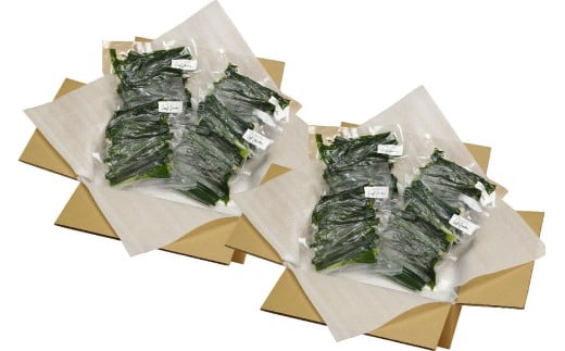 葉 にんにく 150g × 8袋 冷凍 有機 栽培 野菜 無農薬 食品 本格 回鍋肉 麻婆豆腐 中華 料理 鍋 すき焼き すきやき 肉 牛肉 ぎゅうにく しゃぶしゃぶ 豚肉 ぶたにく にく 香味 伝統 有機JAS認定 産地直送 高知県産 須崎市 EA094_x