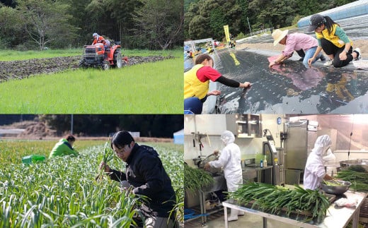 葉 にんにく 150g × 8袋 冷凍 有機 栽培 野菜 無農薬 食品 本格 回鍋肉 麻婆豆腐 中華 料理 鍋 すき焼き すきやき 肉 牛肉 ぎゅうにく しゃぶしゃぶ 豚肉 ぶたにく にく 香味 伝統 有機JAS認定 産地直送 高知県産 須崎市 EA094_x