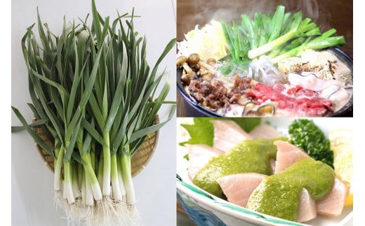 葉 にんにく 150g×2袋 冷凍 有機 栽培 野菜 無農薬 食品 本格 回鍋肉 麻婆豆腐 中華 料理 鍋 すき焼き すきやき 肉 牛肉 ぎゅうにく しゃぶしゃぶ 豚肉 ぶたにく  にく 香味 伝統 有機JAS認定 産地直送 高知県産 須崎市 EA095_x