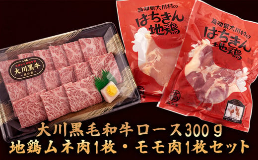肉 牛肉 国産 黒毛 和牛 ロース 300g 鶏肉 もも むね お得 パック 詰め合わせ 土佐はちきん地鶏 希少 幻の大川黒毛和牛 ブランド鶏 土佐はちきん地鶏 高知県 須崎市