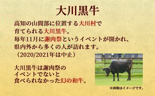 肉 牛肉 国産 黒毛 和牛 モモ ステーキ 300g 希少 幻の大川黒毛和牛 高知県 須崎市