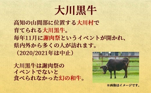 肉 牛肉 国産 黒毛 和牛 モモ ステーキ 300g 希少 幻の大川黒毛和牛 高知県 須崎市