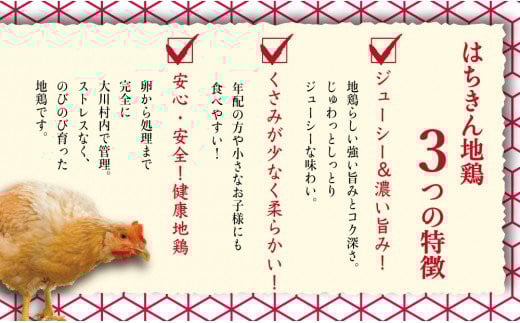 鶏肉 もも 2kg 手羽先 1kg 合計3kg!! 大容量 ブランド鶏 お得 パック 詰め合わせ 土佐はちきん地鶏 唐揚げ から揚げ からあげ用 高知県 須崎市