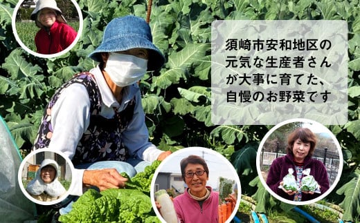 定期便 3回 3ヶ月 旬 野菜 詰め合わせ セット 12~13品目程度 やさい 毎月 届く 産地直送 あわ地区 旬の野菜 ベジタブル キット 季節野菜 高知 須崎 国産 人気 頒布会 AWA1000