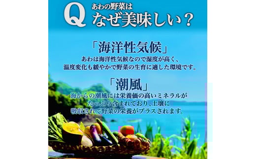定期便 3回 3ヶ月 旬 野菜 詰め合わせ セット 12~13品目程度 やさい 毎月 届く 産地直送 あわ地区 旬の野菜 ベジタブル キット 季節野菜 高知 須崎 国産 人気 頒布会 AWA1000