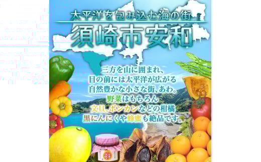 定期便 3回 3ヶ月 旬 野菜 詰め合わせ セット 12~13品目程度 やさい 毎月 届く 産地直送 あわ地区 旬の野菜 ベジタブル キット 季節野菜 高知 須崎 国産 人気 頒布会 AWA1000