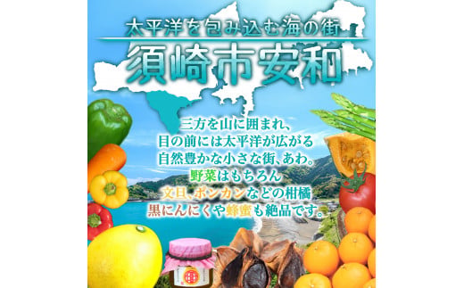 定期便 3回 3か月 訳あり 野菜 詰め合わせ セット 7~8品種 毎月お届け 高知県 須崎市 頒布会 旬の野菜 やさい ベジタブル キット 季節野菜 高知 須崎 国産 人気 半年間 毎月 お届け 季節 旬 新鮮 定番 やさい 