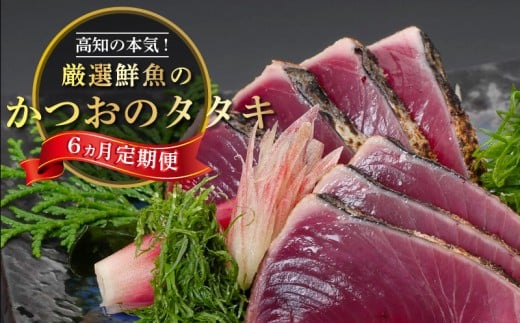 定期便 魚 6回 かつおのたたき にんにく タレ付き 鰹 カツオ タタキ 本場 土佐 わら焼き 刺身 お歳暮 贈り物 高知県産 須崎市