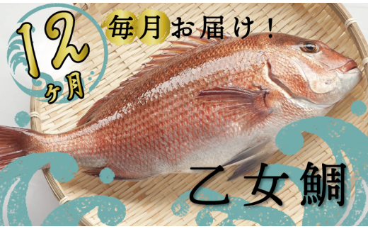 螳壽悄萓ソ 鬲 12蝗 繧ソ繧、 魃 1蛹ケ蛻 蛻コ霄ォ逕ィ蜊願コォ 逧ョ莉倥″蜊願コォ 鬆ュ莉倥″ 繝悶Λ繝ウ繝 荵吝・ウ魃 魄ョ鬲 蛻コ霄ォ 魃帙a縺 鬮倡衍逵 鬆亥エ主ク