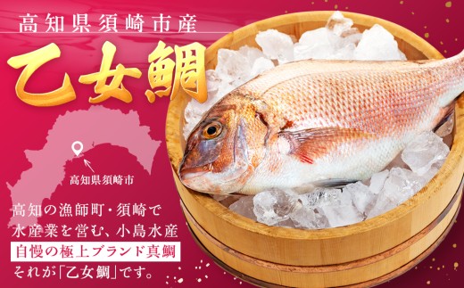 螳壽悄萓ソ 鬲 12蝗 繧ソ繧、 魃 1蛹ケ蛻 蛻コ霄ォ逕ィ蜊願コォ 逧ョ莉倥″蜊願コォ 鬆ュ莉倥″ 繝悶Λ繝ウ繝 荵吝・ウ魃 魄ョ鬲 蛻コ霄ォ 魃帙a縺 鬮倡衍逵 鬆亥エ主ク