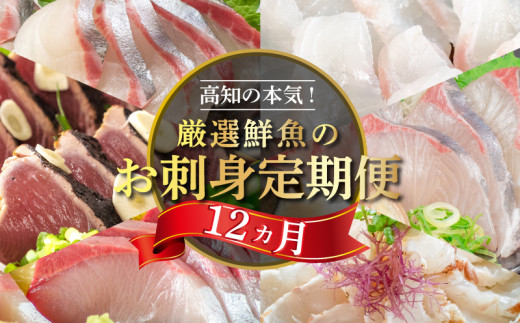 刺身 定期便 12ヶ月 小島水産 がお届けする！ 美味しい お刺身 1年 コース ( 鮮魚 下処理済 ) 産地直送 12回 新鮮 鮮魚 （ 鰤 ブリ 勘八 カンパチ 鯛 乙女鯛 真鯛 マダイ かつおのタタキ 鰹 カツオ 鰹のたたき 縞鯵 シマアジ ） 海鮮 刺身 頒布会 高知県 須崎市
