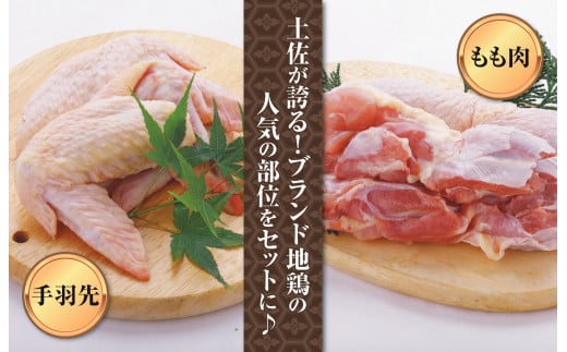 鶏肉 もも 手羽先 合計1kg ブランド鶏 お得 パック 鶏もも 肉 詰め合わせ 土佐はちきん地鶏 唐揚げ から揚げ からあげ用 高知県 須崎市