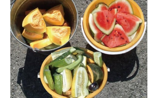 最高級 キジ鍋 セット キジ肉 と オーガニック 葉 にんにく 豪華 10点 鍋セット 鍋 お鍋 鳥肉 肉 とりにく パック おかず ジビエ 料理 有機栽培 有機 スープ 塩 塩だれ 辛味噌 味噌 セット つみれ つみれ鍋 冷凍 大量 大容量 プレゼント ギフト 贈り物 高知県 須崎市 EA0802