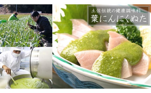 高知 の極上 勘八・真鯛 をご当地 調味料「葉 にんにく ぬた」で味わう 土佐 食 文化 堪能 セット かんぱち 勘八 たい 鯛 鮮魚 魚介類 海鮮 刺身 さしみ 藁焼き わらやき にんにく 万能 詰め合わせ  無農薬 有機栽培 食品 高知県 須崎市 EA077_x