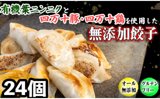 有機 葉 ニンニク と 四万十豚 で作った 最高級 餃子 （ 6個入り x 4パック ）ぎょうざ ギョウザ にんにく 高知 野菜