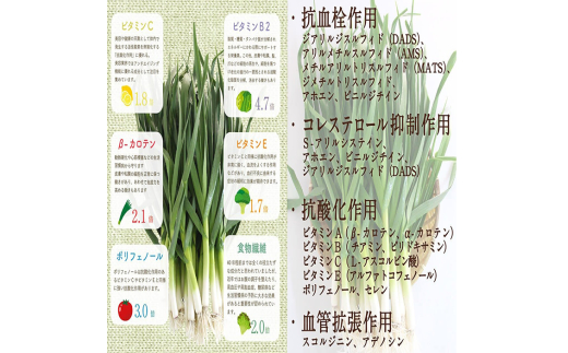 有機 葉 ニンニク と 四万十豚 で作った 最高級 餃子 （ 6個入り x 4パック ）ぎょうざ ギョウザ にんにく 高知 野菜