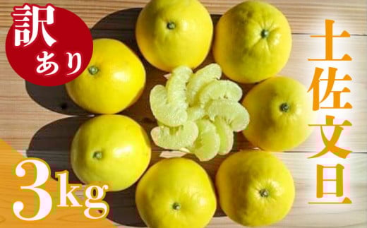 【2026年2月下旬より順次発送】 訳あり 文旦 3kg 4～7玉 家庭用 ブンタン ぶんたん 分担 ぼんたん 大小混合 不揃い 規格外 わけあり 家庭用 文旦 高知県産 果物 フルーツ 柑橘 みかん 高知県 須崎市