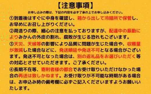 【2026年2月下旬より順次発送】 訳あり 文旦 3kg 4～7玉 家庭用 ブンタン ぶんたん 分担 ぼんたん 大小混合 不揃い 規格外 わけあり 家庭用 文旦 高知県産 果物 フルーツ 柑橘 みかん 高知県 須崎市