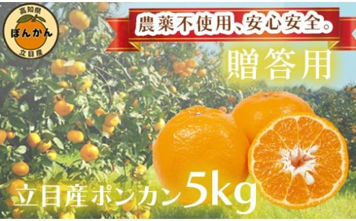 【 早期予約開始 】ポンカン 2026年1月下旬 発送 秀品 贈答用 5kg 無農薬 ブランド サイズ混合 家庭用 立目産ぽんかん 柑橘 高知県 須崎市
