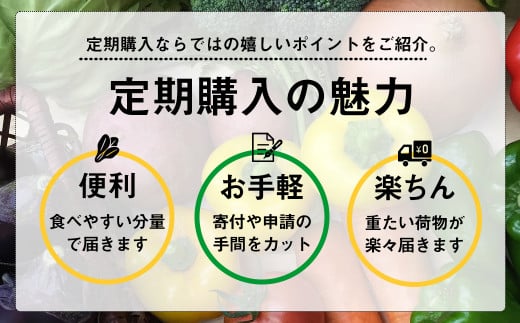 定期便 1年間 12回 野菜 詰め合わせ 産地直送 セット  (12~13品程度 ) （ きゅうり なす パプリカ ピーマン れんこん ブロッコリー にんじん 人参 トマト 玉ねぎ タマネギ 野菜 ベジタブル 旬  あわ地区 旬の野菜 やさい キット 季節野菜 国産 人気 12ヶ月 毎月 お届け 頒布会  高知 高知県産 高知県 定期便 須崎市 須崎 ） AWA9000_x