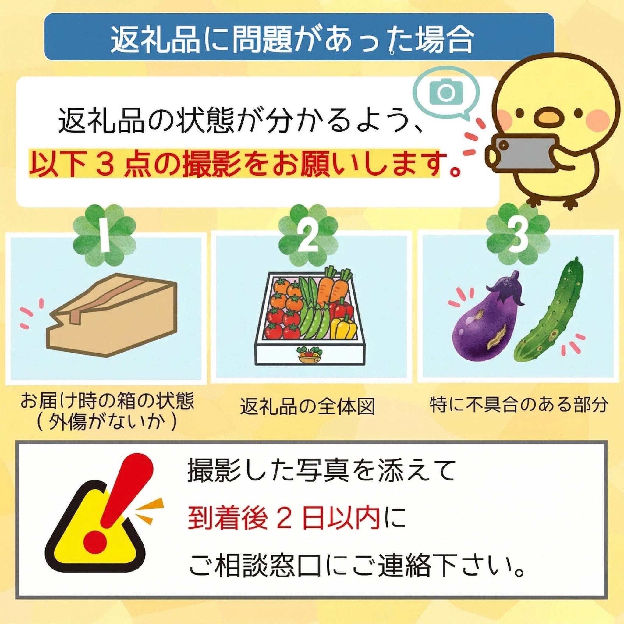 定期便 6回 6ヶ月 半年 野菜 12~13品前後 詰め合わせ 産地直送 セット あわ地区 旬の野菜 やさい ベジタブル キット 季節野菜 高知 須崎 国産 人気 半年間 毎月 お届け 頒布会 AWA8000_x