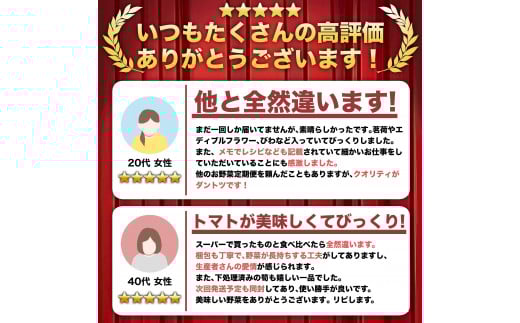 定期便 6回 6ヶ月 半年 野菜 12~13品前後 詰め合わせ 産地直送 セット あわ地区 旬の野菜 やさい ベジタブル キット 季節野菜 高知 須崎 国産 人気 半年間 毎月 お届け 頒布会 AWA8000_x