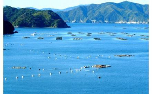 純米大吟醸 ｢美丈夫 舞｣･純米吟醸 ｢美丈夫 純麗たまラベル｣･純米 ｢須崎｣ 各720ml 3本セット TH0582