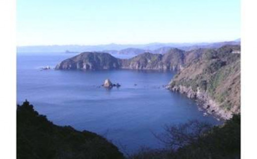 純米吟醸酒 ｢美丈夫 純麗たまラベル｣･純米酒 ｢須崎｣ 720ml 四合瓶 2本セット TH0561