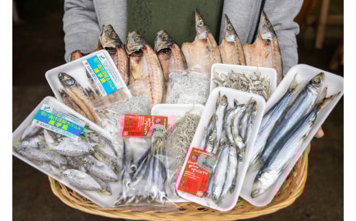 干物 旬の おまかせ 詰め合わせ セット 須崎 高知 冷凍 ひもの  【 産地 直送 】 おまかせ 各種 沖うるめ ニロギ イワシ丸干し カマス丸干し ヤケド ハダカイワシ ヒメイチ きびなご メヒカリ カマス開き アジ開き じゃこ イワシの煮干 ギフト 贈り物 MMY014