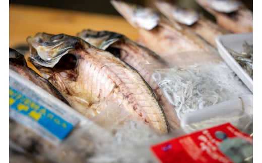 干物 旬の おまかせ 詰め合わせ セット 須崎 高知 冷凍 ひもの  【 産地 直送 】 おまかせ 各種 沖うるめ ニロギ イワシ丸干し カマス丸干し ヤケド ハダカイワシ ヒメイチ きびなご メヒカリ カマス開き アジ開き じゃこ イワシの煮干 ギフト 贈り物 MMY014