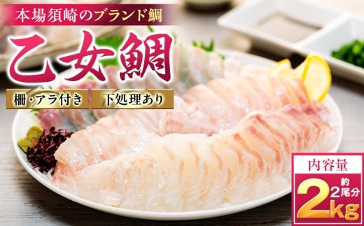 本場須崎のブランド鯛 ｢ 乙女鯛フィーレ ｣ アラ付き 2尾 セット 約2kg 冷蔵 刺身 お刺し身 タイ 鯛 高級魚 鮮魚 海鮮 魚介 煮付け アラ汁 高知県 須崎市 魚 マダイ 真鯛