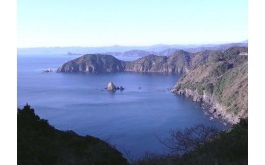 土佐鶴｢しぼりたて新酒｣と本醸造大辛口 ｢須崎」 2本セットTH0451