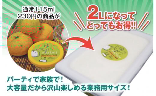 昔ながらの 柚子 アイスクリーム 業務用 2L 高知アイス ゆず アイスクリン ふるさとの味 ご当地アイス あっさり 爽やか アイス 昔ながらの デザート スイーツ 高知県 須崎市 ICE036