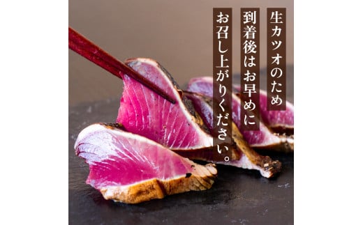 本場高知！！生カツオの藁焼きタタキ 600～800g 鰹 わら焼き 薬味 セット YS007