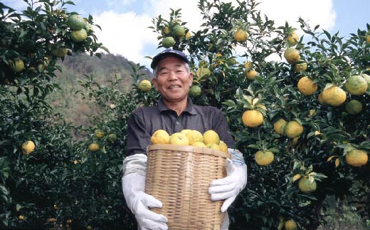 æå ãã ããªã³ã¯ 200ml à 12æ¬ æç© ææ± é«ç¥ã¢ã€ã¹ é«ç¥çç£ ãŠãº 100% é åŽåž ICE044