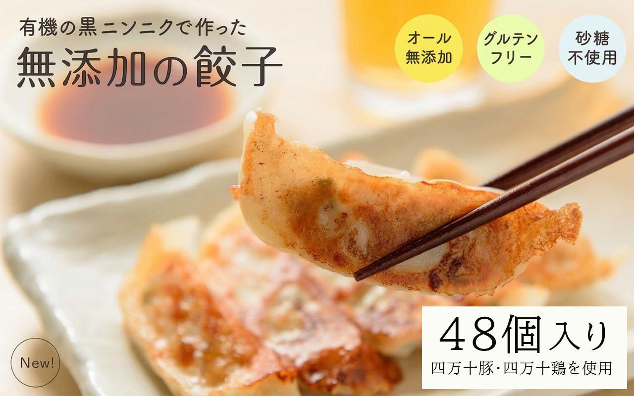 黒 にんにく と 四万十豚 で作った 最高級餃子 （ 6個入り × 8 パック ） 餃子 ギョーザ 焼き餃子 やきぎょうざ ぎょーざ こだわり 大容量 冷凍 冷凍餃子 簡単 調理 簡単調理 惣菜 冷凍食品 おかず 弁当 中華 中華料理 料理 高知県 須崎市 EA0321_2x