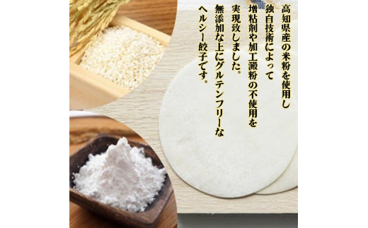 有機 黒 ニンニク と 四万十 豚 で作った 最高級 餃子 （ 6個入り x 8パック ）ぎょうざ ギョウザ にんにく 高知 野菜