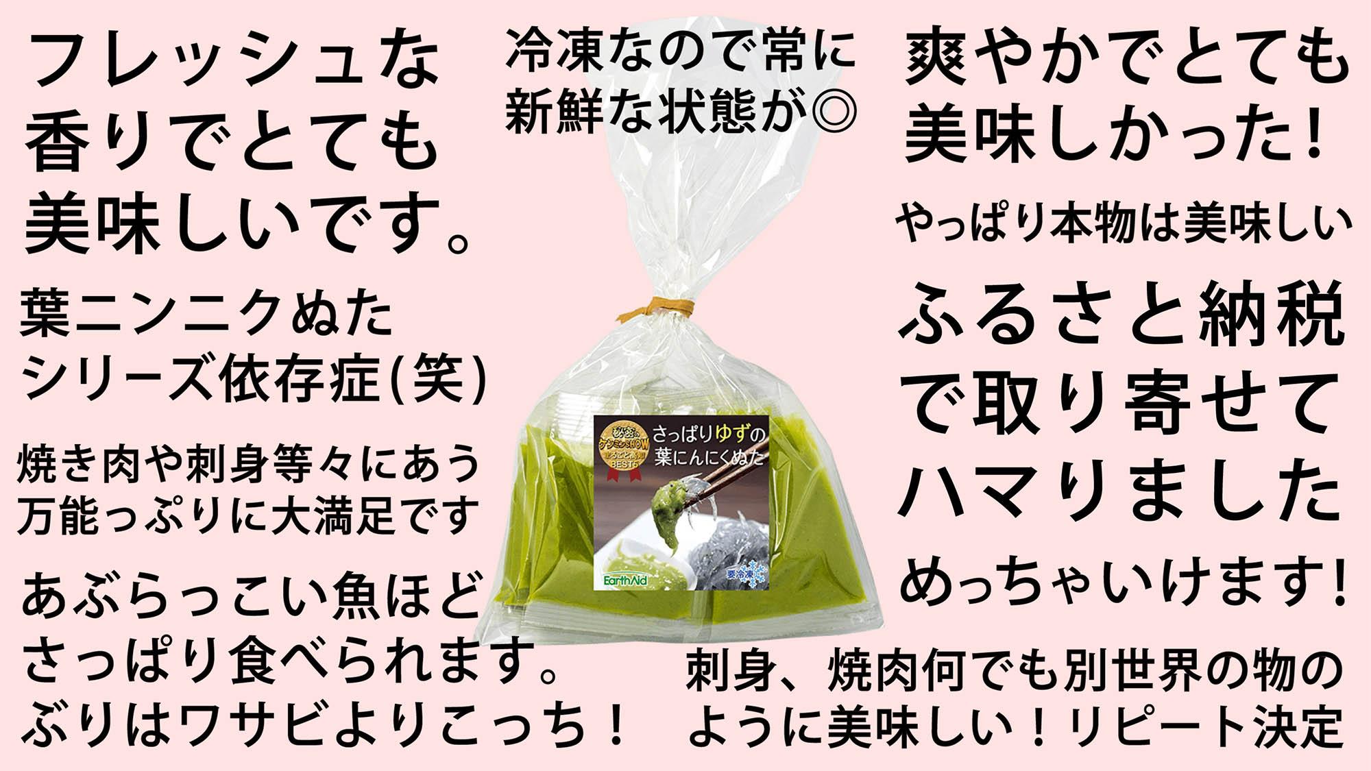 葉 にんにく ぬた 2種 (さっぱり・コク)  食べ比べ セット ご当地 万能 ドレッシング ソース 有機栽培 調味料  ガーリック 無農薬 さっぱり ゆず 柚子 ぶり 鰤 かつおのたたき たたき かつお 鰹 海鮮 カンパチ 勘八 刺身 さしみ 鮮魚 料理 食品 詰め合わせ 個包装 小分け 自宅 冷凍 ふるさと納税 刺身 母の日 プレゼント ギフト 贈り物 高知県産 須崎市 EA030_2x