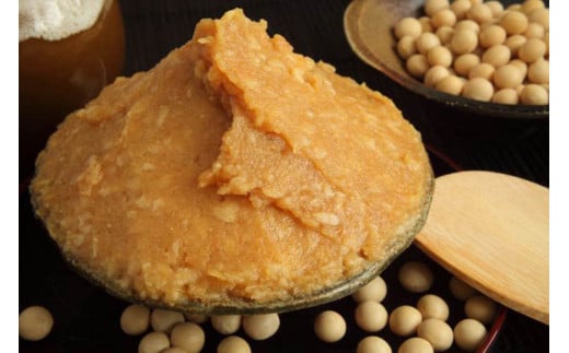 葉 にんにく ぬた 2種 (さっぱり・コク)  食べ比べ セット ご当地 万能 ドレッシング ソース 有機栽培 調味料  ガーリック 無農薬 さっぱり ゆず 柚子 ぶり 鰤 かつおのたたき たたき かつお 鰹 海鮮 カンパチ 勘八 刺身 さしみ 鮮魚 料理 食品 詰め合わせ 個包装 小分け 自宅 冷凍 ふるさと納税 刺身 母の日 プレゼント ギフト 贈り物 高知県産 須崎市 EA030_2x