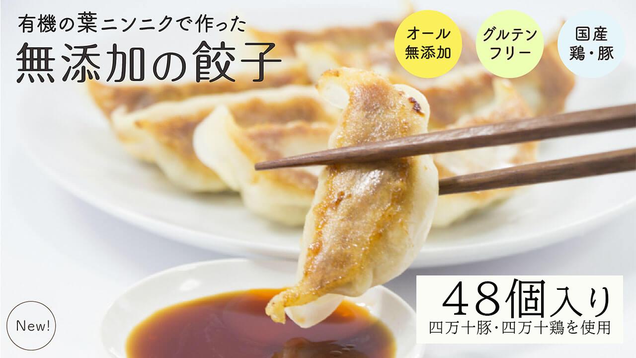 葉 にんにく と 四万十豚 で作った 最高級餃子 （ 6個入り × 8 パック ） 餃子 ギョーザ 焼き餃子 やきぎょうざ ぎょーざ こだわり 大容量 冷凍 冷凍餃子 簡単 調理 簡単調理 惣菜 冷凍食品 おかず 弁当 中華 中華料理 料理 高知県 須崎市 EA0261_2x