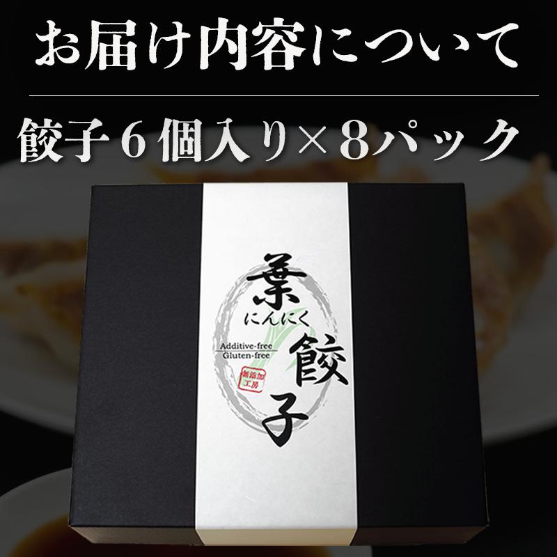 葉 にんにく と 四万十豚 で作った 最高級餃子 （ 6個入り × 8 パック ） 餃子 ギョーザ 焼き餃子 やきぎょうざ ぎょーざ こだわり 大容量 冷凍 冷凍餃子 簡単 調理 簡単調理 惣菜 冷凍食品 おかず 弁当 中華 中華料理 料理 プレゼント ギフト 贈り物 高知県 須崎市 EA0261_2x