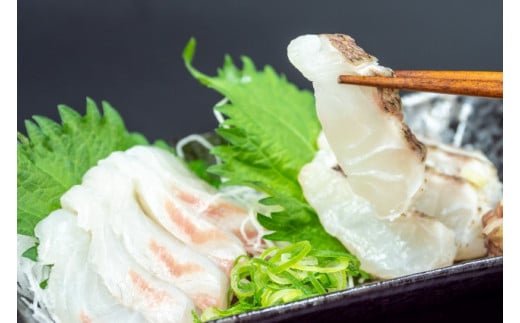 é¯ ã¿ã€ åºèº« ãŸãããš 1å¹å çŽ600gïœ800g é®®é çã æµ é ç£å°çŽé é«ç¥ç é åŽåž