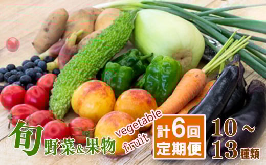【 定期便 6回 】 野菜 果物 セット 10 から 13 種類 | お楽しみ やさい くだもの フルーツ 果物 セット 旬 春 夏 秋 冬 採れたて 新鮮 農家 直送 詰め合わせ 国産 季節 フレッシュ きゅうり ピーマン なす トマト 大根 白菜 頒布会 高知県 須崎市 ME2000_x