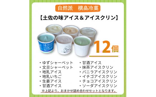 高知 名物 アイスクリン ふるさとの味アイス 12個セット ( ゆず 文旦 甘酒 ミルク いちごミルク 生姜 バニラ 抹茶 いちご チョコ ソーダ 人気 カップ スイーツ バラエティ おやつ 詰め合わせ デザート 詰合せ ) ME0391