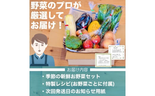 定期便 6回 6か月 半年 野菜 7~8品程度 詰め合わせ セット 毎月お届け 半年間 高知県 須崎市 季節 旬 新鮮 定番 やさい 産地直送（ 小夏 キャベツ ネギ ピーマン オクラ きゅうり かぼちゃ パプリカ ブロッコリー トマト カブ タマネギ じゃがいも びわ ほうれんそう みかん とうもろこし 大根 小松菜 ニンジン 人参 ぽんかん ゆず ）